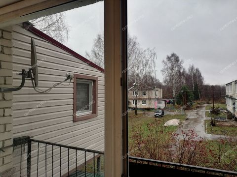 1-komnatnaya-kremenki-lyskovskiy-municipalnyy-okrug фото