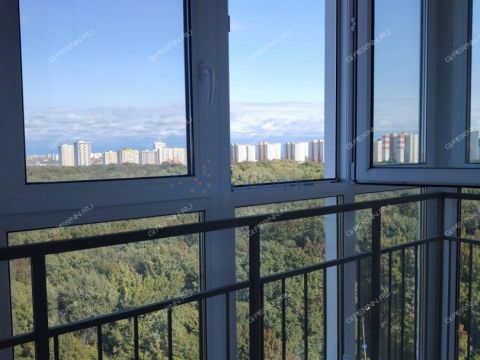 1-komnatnaya-sh-ankudinovskoe-d-34 фото