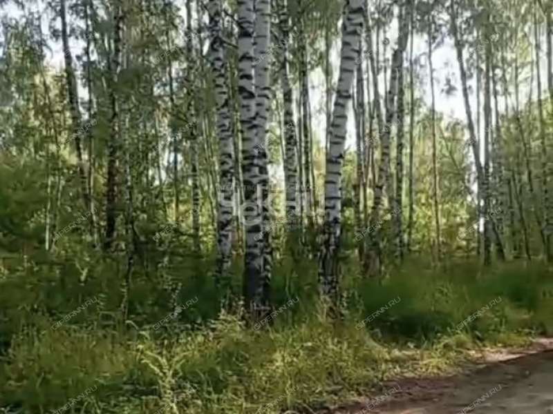 земельный участок 100 соток деревня Досадино
