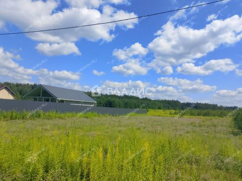 derevnya-inyutino-bogorodskiy-municipalnyy-okrug фото