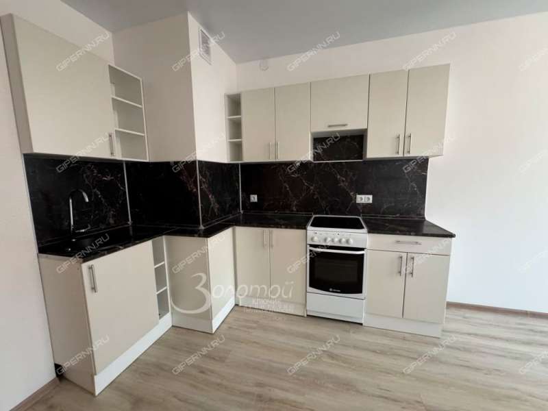 трёхкомнатная квартира на Русской улице улице дом 9 деревня Анкудиновка