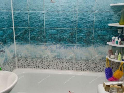 1-komnatnaya-rabochiy-poselok-gidrotorf-balahninskiy-municipalnyy-okrug фото