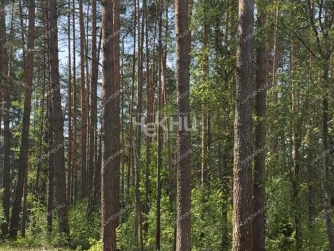 dom-derevnya-lindo-usad-gorodskoy-okrug-bor фото