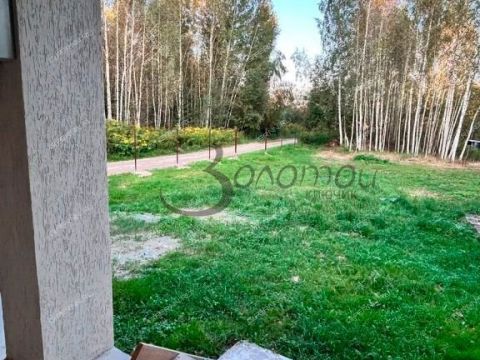 kottedzh-derevnya-pikinskie-grivy-gorodskoy-okrug-bor фото