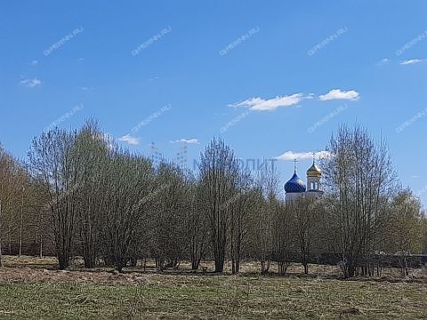 derevnya-zaozere-bogorodskiy-municipalnyy-okrug фото