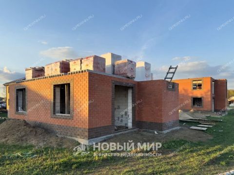 kottedzh-derevnya-tushnino-gorodskoy-okrug-bor фото