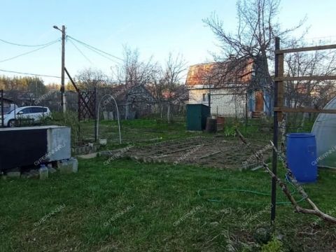 dacha-derevnya-shoniha-bogorodskiy-municipalnyy-okrug фото