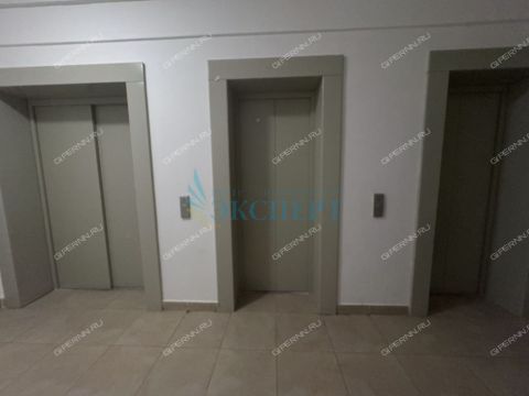 2-komnatnaya-derevnya-ankudinovka-kstovskiy-rayon фото