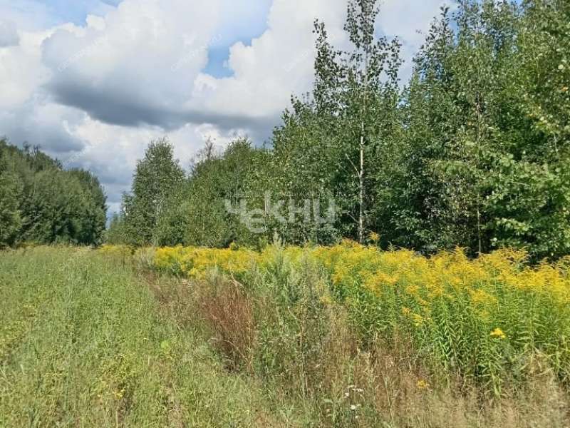 земельный участок 16 соток деревня Ковригино, Ковригинский сельсовет