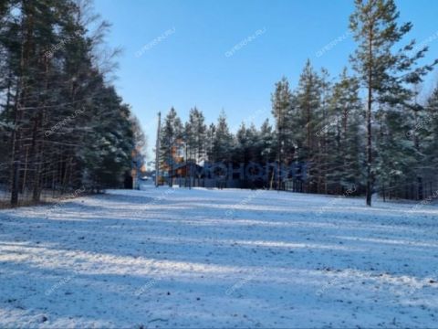 derevnya-malyy-suhodol-gorodeckiy-rayon фото