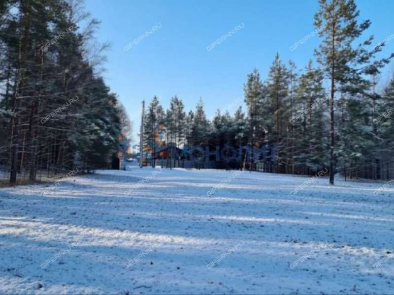 земельный участок под сельхоз назначение в Городецком районе Нижегородской области