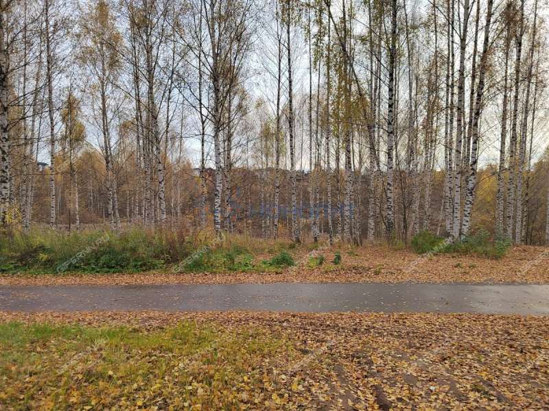 коттедж на Раздольной улице