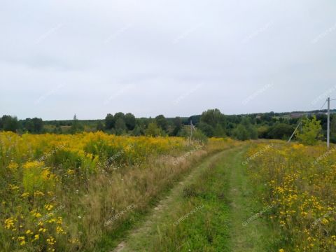 derevnya-kileley-bogorodskiy-municipalnyy-okrug фото