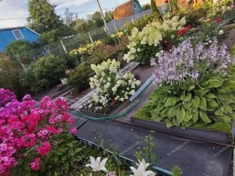 dacha-snt-nadezhda фото