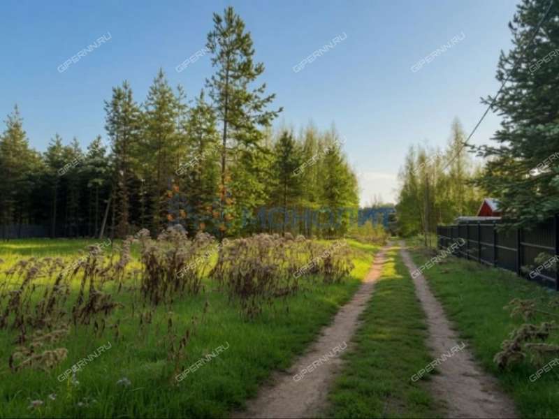 земельный участок под сельхоз назначение в Городецком районе Нижегородской области