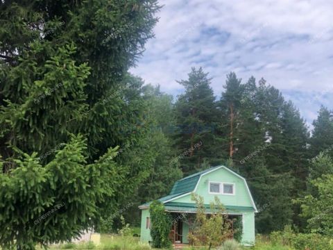 dacha-leninec-8-derevnya-hmelevaya-polyana-ter-snt-dalnekonstantinovskiy-rayon фото