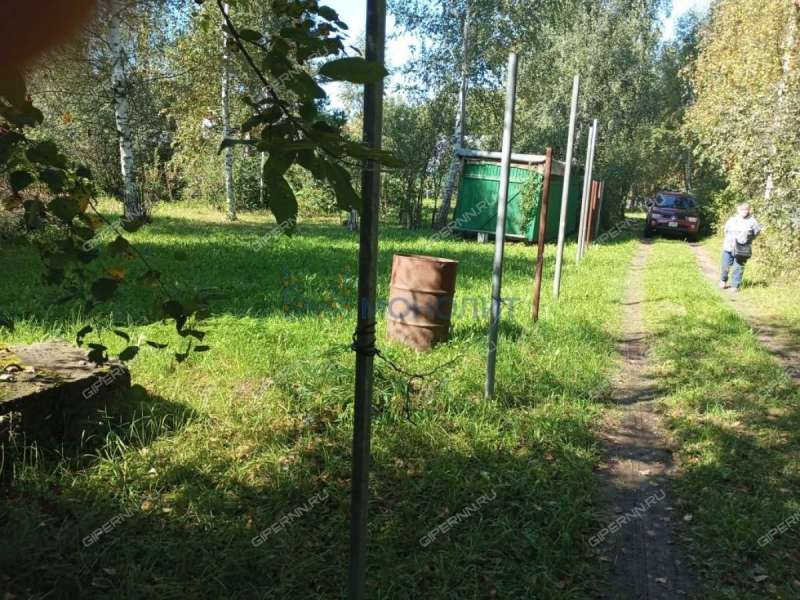 земельный участок под сельхоз назначение в городском округе Бор Нижегородской области