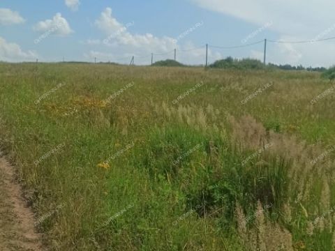 derevnya-maloe-seskino-dalnekonstantinovskiy-rayon фото