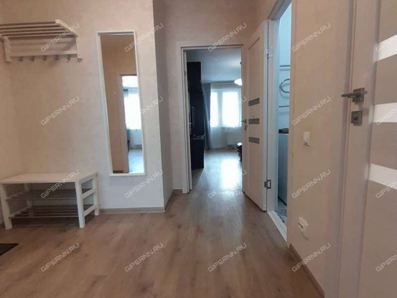 двухкомнатная квартира на улице Романтиков дом 13