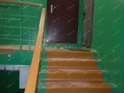 1-komnatnaya-derevnya-berezovka-bogorodskiy-municipalnyy-okrug фото