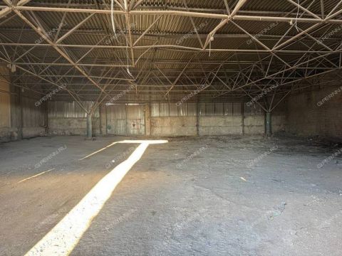 chachinoy-ul-d-36 фото