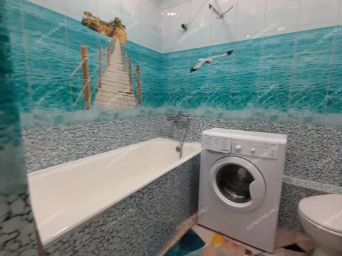 1-komnatnaya-ul-nizhne-pecherskaya-d-15 фото