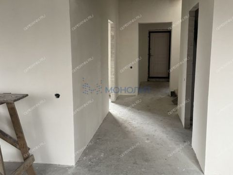 kottedzh-gorod-bor-gorodskoy-okrug-bor фото