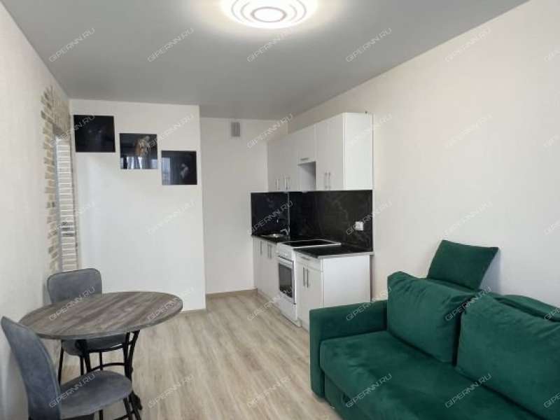 однокомнатная квартира на Машинной улице дом 29