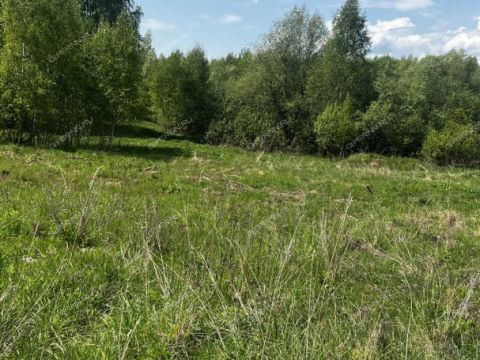 dom-derevnya-chaglava-kstovskiy-rayon фото
