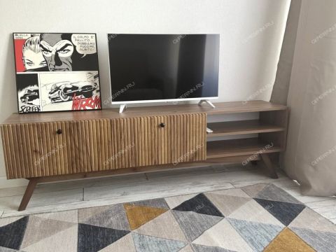 2-komnatnaya-b-r-zarechnyy-d-1 фото