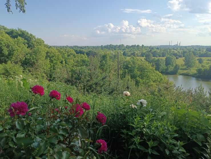 Фото: Валерия Ложкина / gipernn.ru