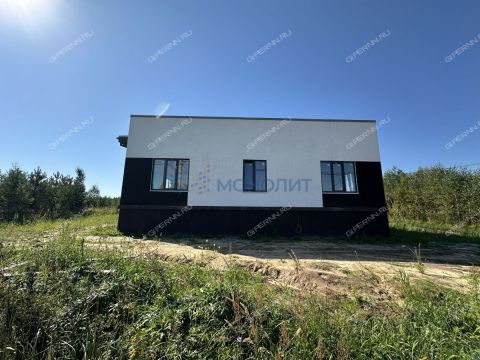 dom-derevnya-berezovka-bogorodskiy-municipalnyy-okrug фото