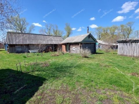 dom-selo-maresevo-pochinkovskiy-municipalnyy-okrug фото