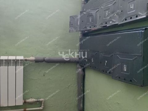 1-komnatnaya-gorod-gorodec-gorodeckiy-rayon фото