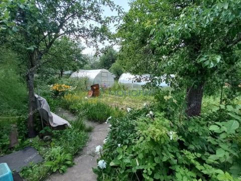 dacha фото