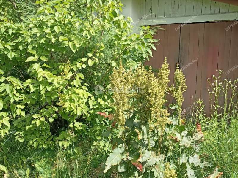 дача на СНТ Садомово