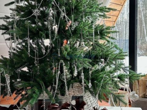 dom-derevnya-pionerskoe-ostankinskiy-selsovet-gorodskoy-okrug-bor фото