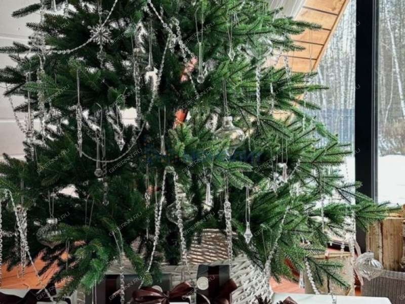 дом на - деревня Пионерское (Останкинский сельсовет