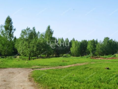 derevnya-mednikovo-gorodskoy-okrug-chkalovsk фото