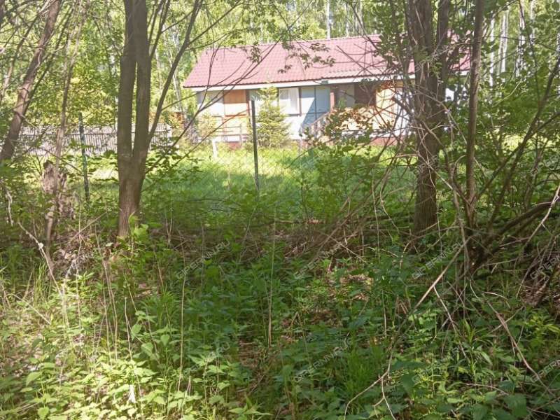 земельный участок 10 соток деревня Приклонное (Кантауровский сельсовет