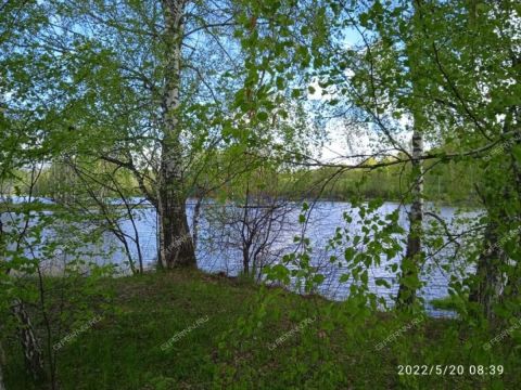 dom-derevnya-nikitkino-gorodskoy-okrug-chkalovsk фото