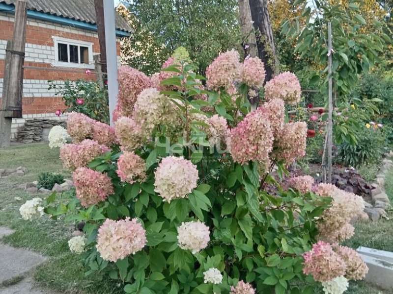 дом на улице Механизаторов город Городец