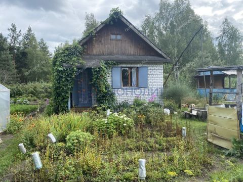 dacha-snt-berezka фото