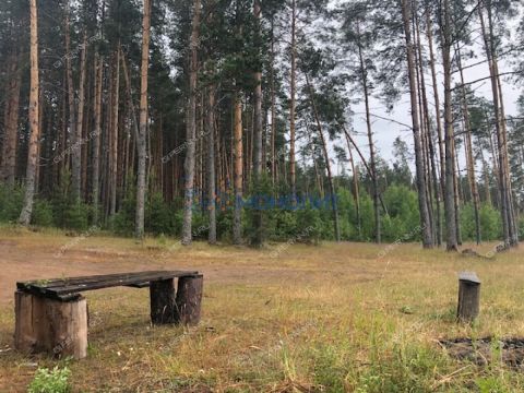 derevnya-kudrino-sokolskiy-gorodskoy-okrug фото