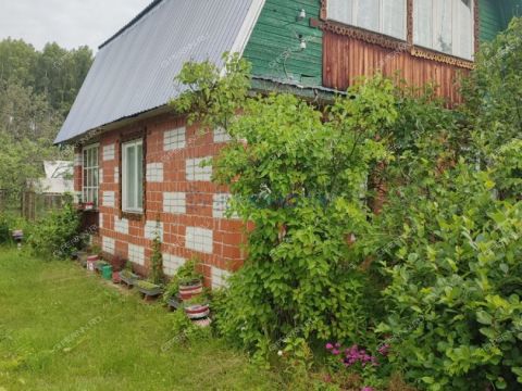 dacha-derevnya-lapshiha-dalnekonstantinovskiy-rayon фото