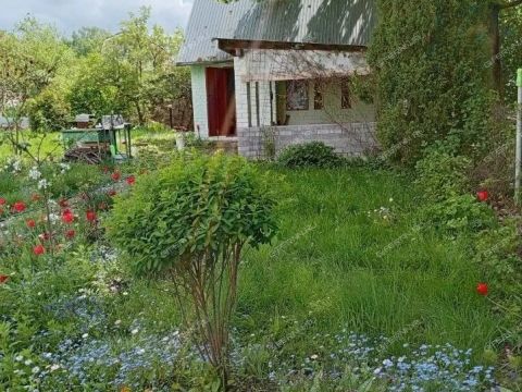 dom-gorod-kstovo-kstovskiy-rayon фото