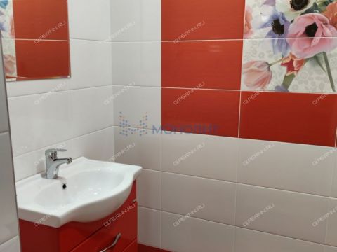 2-komnatnaya-ul-novaya-d-8 фото