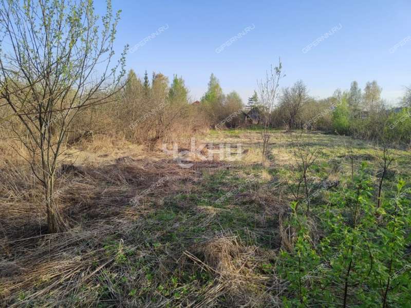 земельный участок 25 соток Центральная улица село Львово