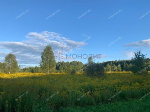 derevnya-shvariha-bogorodskiy-municipalnyy-okrug фото