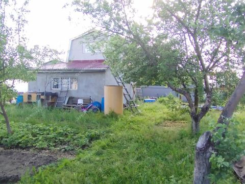 dacha-snt-n6-novoe-doskino-novoe-doskino фото